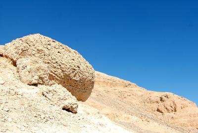 DSC_0798.jpg