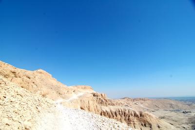 DSC_0806.jpg