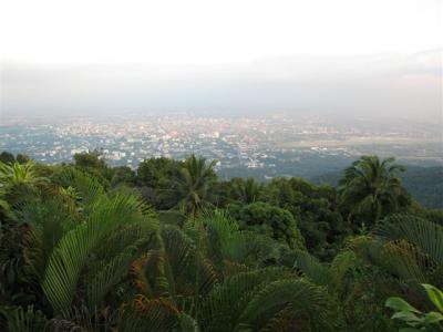 over looking the city