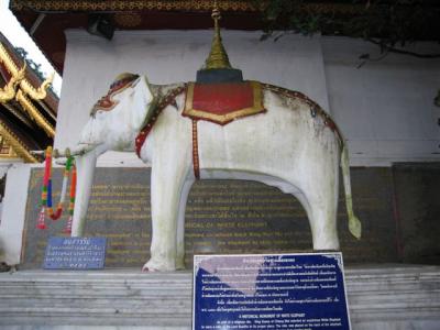 were placed in a howdah on the back of a white elephant, which carried them to Wat Phrathat, then it dropped dead due to fatigue from long journey.