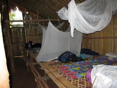 mosquito net around my sleeping area