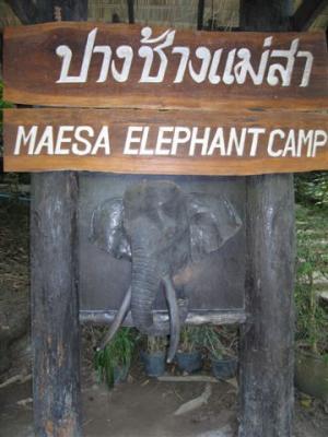 Maesa Elephant Camp