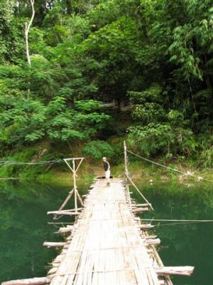 floating trail that leads to the toilets