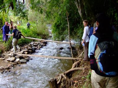 the bridge is just a log across the stream