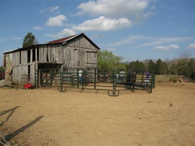 up at the old barn  (where we torn most of it down)