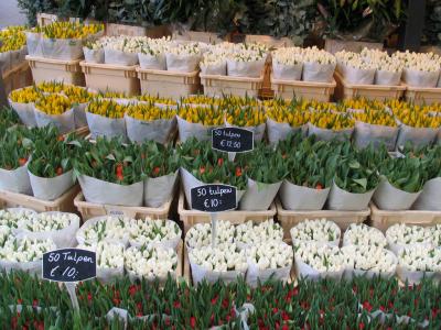 Flower Mart