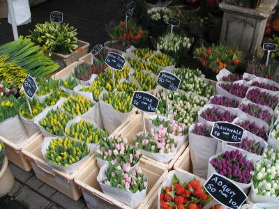 Flower Mart