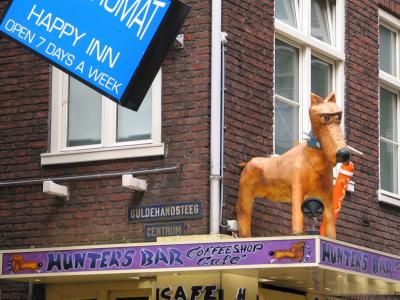 IMG_7651.jpg