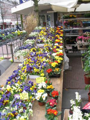 Street Market