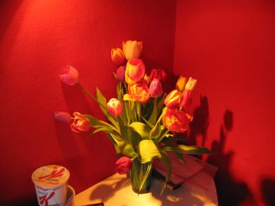 Room Tulips