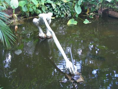 Amsterdam Botanical Gardens