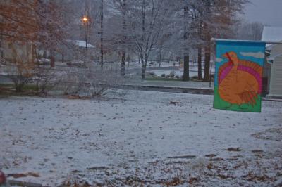 Turkey in the Snow