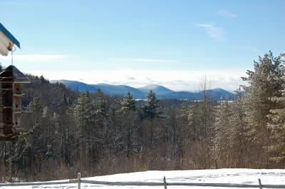 View from Dining Room Window