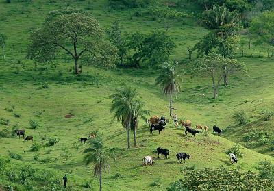 Bermejo Pasture