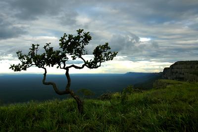 Santiago de Chiquitos -- Santa Cruz, Bolivia