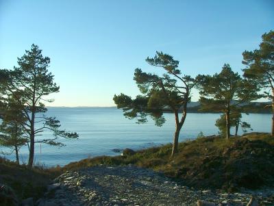 2005-2007 Milde - Hjellestad - Sandringham