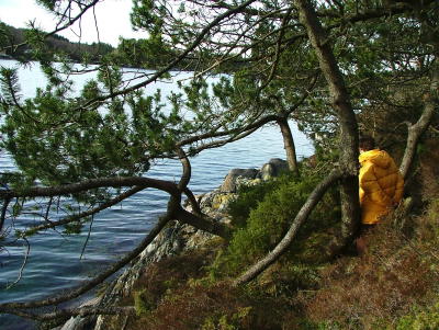 Once Bergfjord Costal Track - Created by Roald Atle Furre