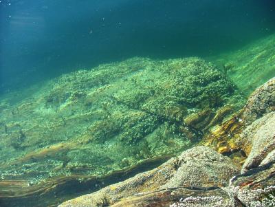 Bergfjord Costal Track - Created by Roald Atle Furre