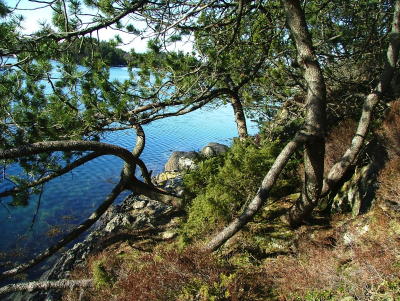 And After-Bergfjord Costal Track - Created by Roald Atle Furre