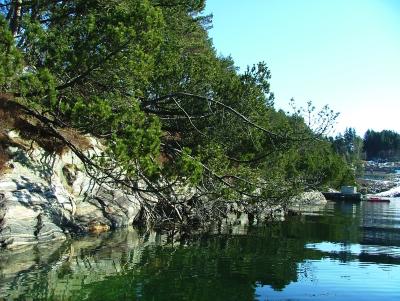 Costal Track Bergfjord - Linds Created by Roald Atle Furre