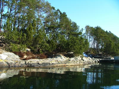 Costal Track Bergfjord - Linds Created by Roald Atle Furre