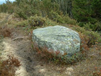 Stone of King Hkon the Good-Hearted - Bergfjord fjellet