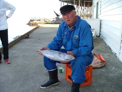 Johannes K Hellesoey-  BelMor - some kind of excotic TunaFish