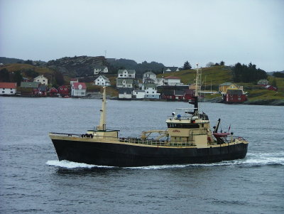 Andrea by Torsvik in Rongesund