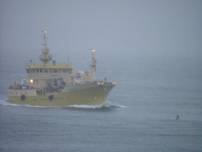 LLLV Tauranga Out of the Fog