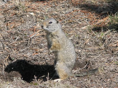 IMG_0696.jpg