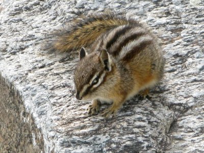 IMG_0341.jpg