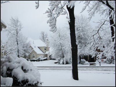 IMG_1670.jpg