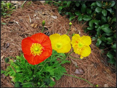 IMG_0192.jpg