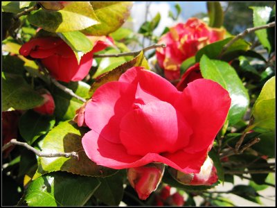 IMG_0199.jpg