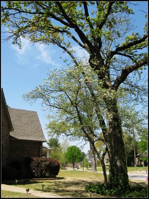 IMG_0086.jpg