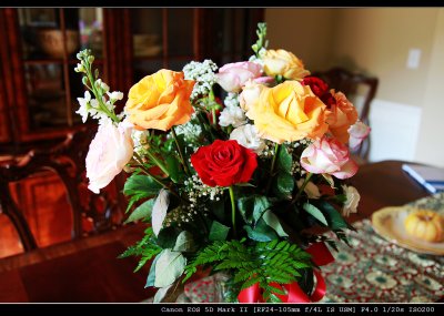 IMG_0494.jpg