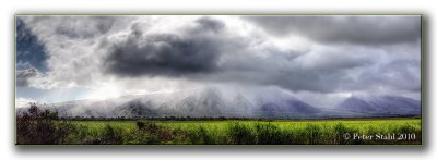 Maui-landscape.jpg