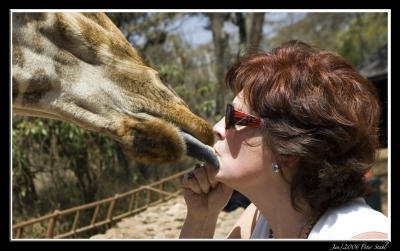 Giraffe Kiss.jpg
