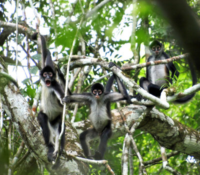 Belize_edited_photos-1-51 adjusted.jpg