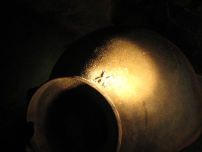 Maya Pot