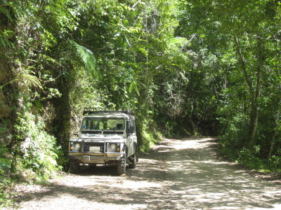 Defender on the trail