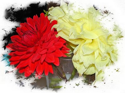 Large Un-Known Flower