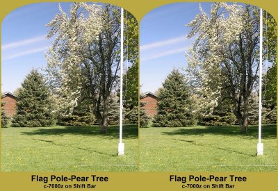 A 3D of the Flag Pole