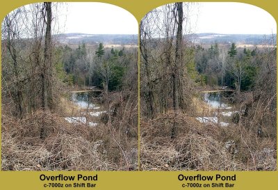 A 3D of the Pond