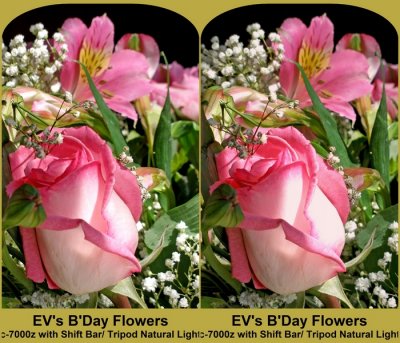 Flowers to Mark Ev's B'Day