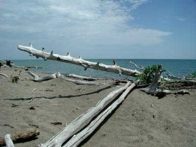 g3/28/620428/3/53762246.PointPeleeOntario.jpg