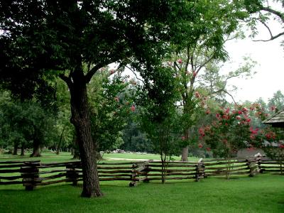Scenic view at John Tyler's residence (Late Summer)