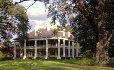 g3/28/632528/3/56268970.Plantation.jpg
