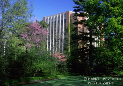 g3/28/633728/3/55725072.MSUMusic.jpg