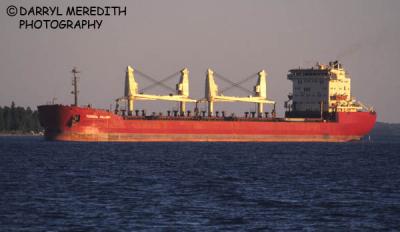 g3/28/633728/3/57347772.FederalCalliope.jpg